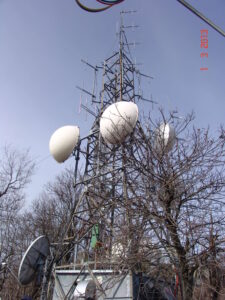 stella-1