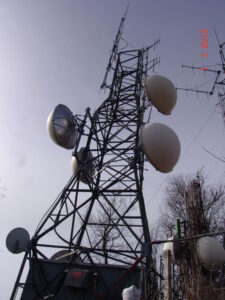 stella-2